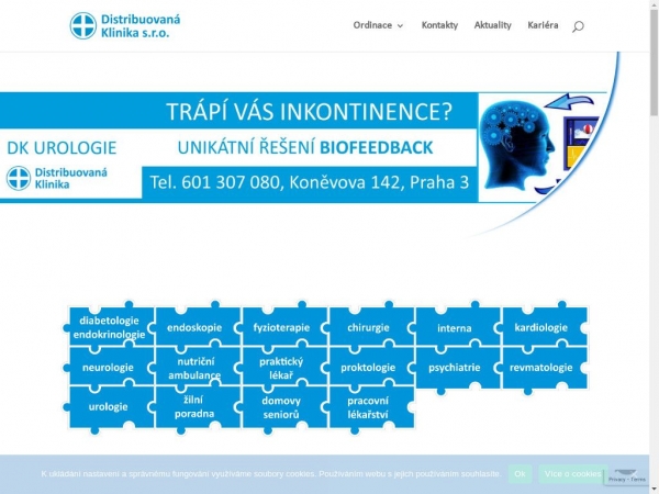 old.distribuovana-klinika.cz