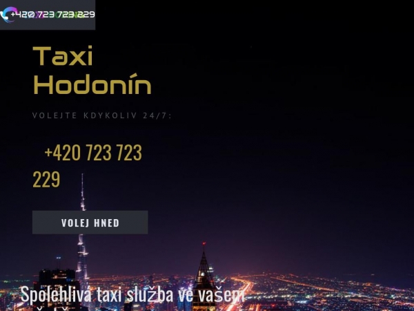 taxihodonin.com